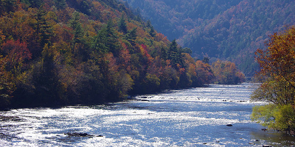 French Broad River lined with autumn trees near Asheville, NC